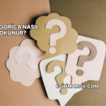 Podgorica Nasıl Okunur?