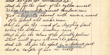 Şiir Nasıl Duygulu Okunur?