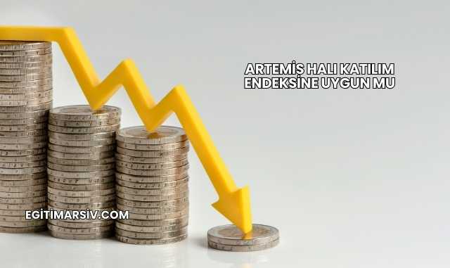 Artemis Halı Katılım Endeksine Uygun mu
