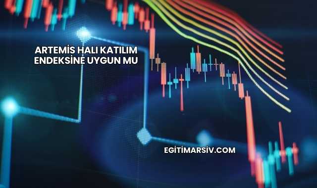 Artemis Halı Katılım Endeksine Uygun mu