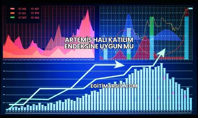 Artemis Halı Katılım Endeksine Uygun mu