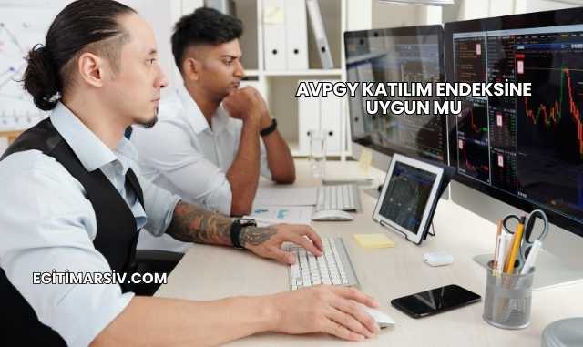 Avpgy Katılım Endeksine Uygun mu