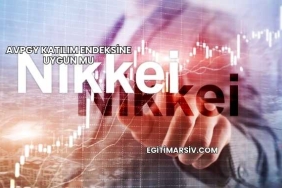 Avpgy Katılım Endeksine Uygun mu