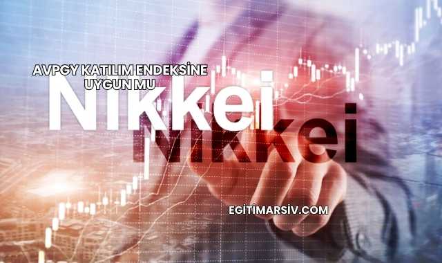 Avpgy Katılım Endeksine Uygun mu
