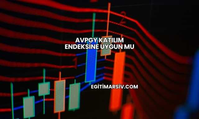 Avpgy Katılım Endeksine Uygun mu