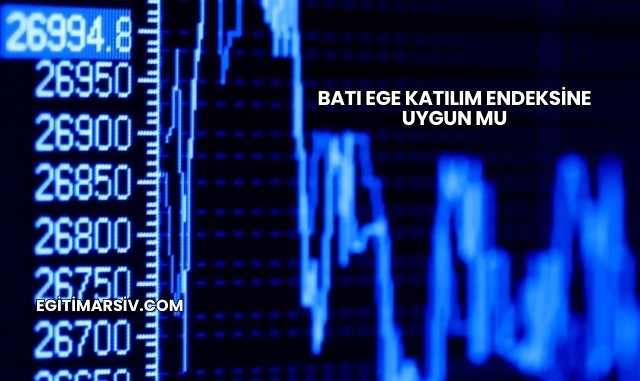 Batı Ege Katılım Endeksine Uygun mu