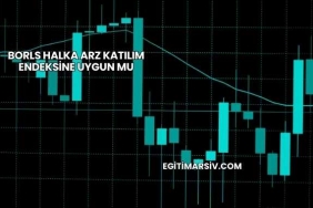Borls Halka Arz Katılım Endeksine Uygun mu
