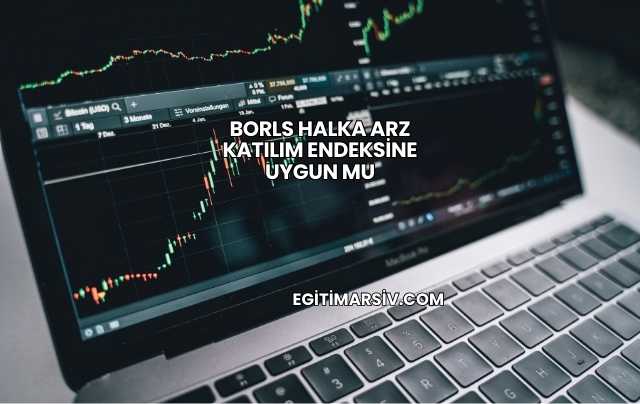 Borls Halka Arz Katılım Endeksine Uygun mu