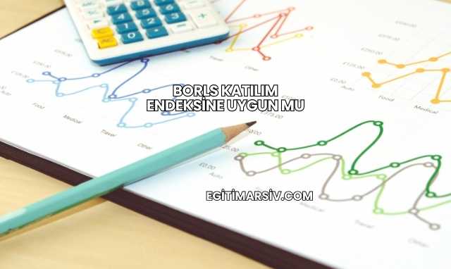 Borls Katılım Endeksine Uygun mu