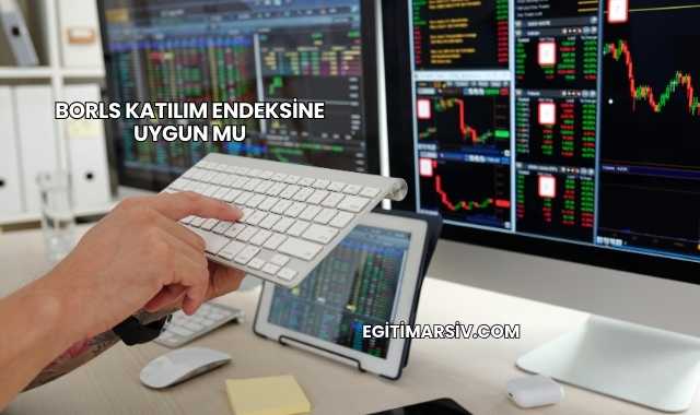 Borls Katılım Endeksine Uygun mu