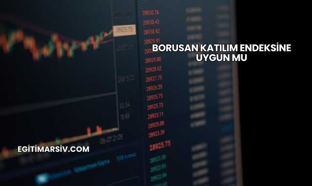 Borusan Katılım Endeksine Uygun mu