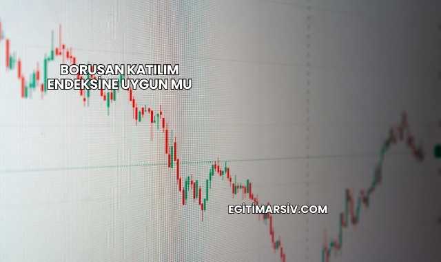 Borusan Katılım Endeksine Uygun mu