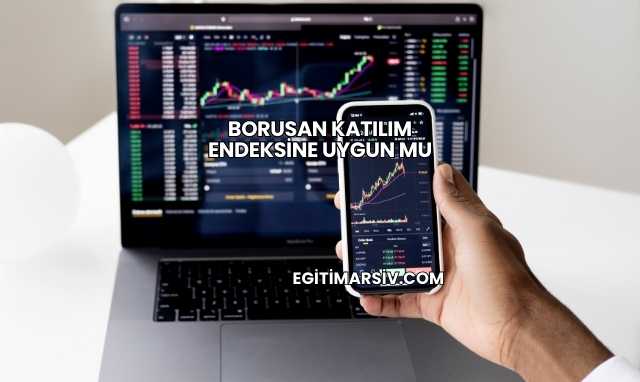Borusan Katılım Endeksine Uygun mu