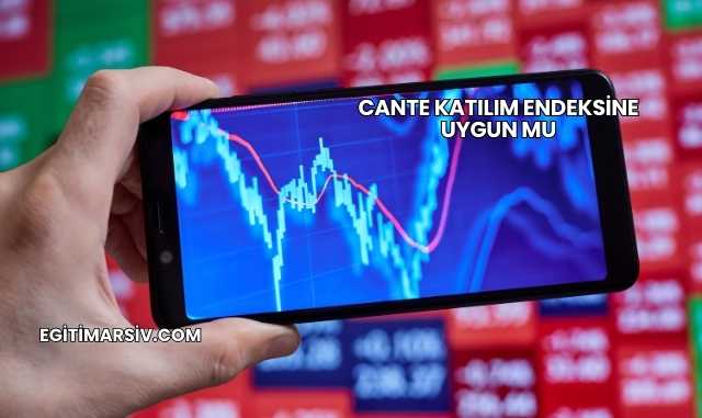 Cante Katılım Endeksine Uygun mu