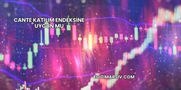 Cante Katılım Endeksine Uygun mu