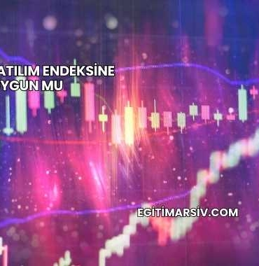 Cante Katılım Endeksine Uygun mu