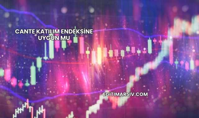 Cante Katılım Endeksine Uygun mu