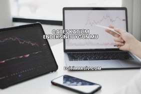 Cates Katılım Endeksine Uygun mu