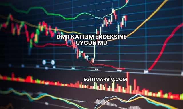Dmr Katılım Endeksine Uygun mu