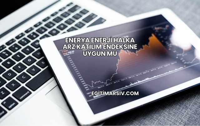 Enerya Enerji Halka Arz Katılım Endeksine Uygun mu