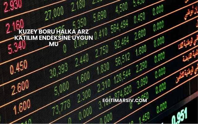 Kuzey Boru Halka Arz Katılım Endeksine Uygun mu