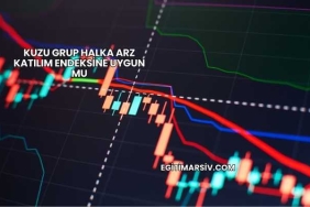 Kuzu Grup Halka Arz Katılım Endeksine Uygun mu