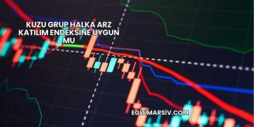 Kuzu Grup Halka Arz Katılım Endeksine Uygun mu