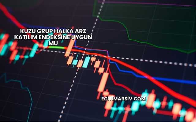 Kuzu Grup Halka Arz Katılım Endeksine Uygun mu