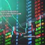Limak Doğu Anadolu Çimento Katılım Endeksine Uygun mu
