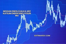 Mogan Enerji Halka Arz Katılım Endeksine Uygun mu