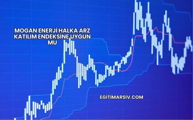 Mogan Enerji Halka Arz Katılım Endeksine Uygun mu