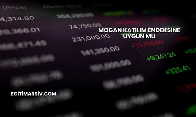 Mogan Katılım Endeksine Uygun mu