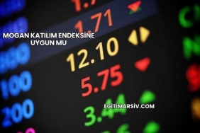 Mogan Katılım Endeksine Uygun mu