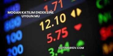 Mogan Katılım Endeksine Uygun mu