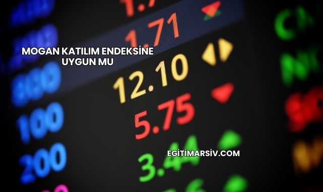 Mogan Katılım Endeksine Uygun mu