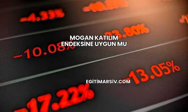 Mogan Katılım Endeksine Uygun mu