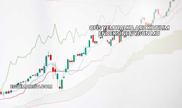 Ofis Yem Halka Arz Katılım Endeksine Uygun mu