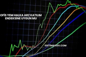 Ofis Yem Halka Arz Katılım Endeksine Uygun mu