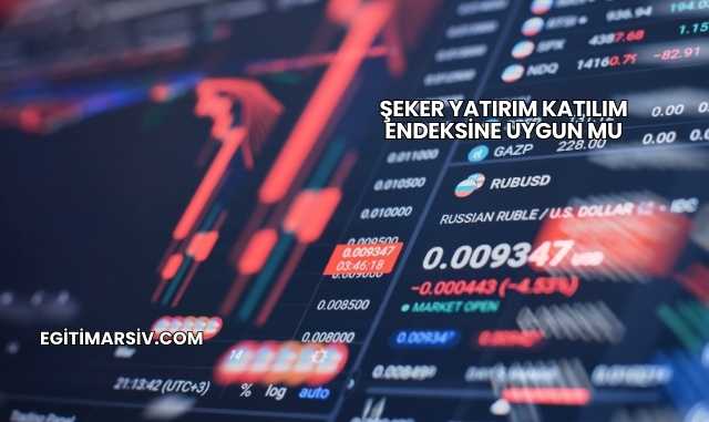 Şeker Yatırım Katılım Endeksine Uygun mu