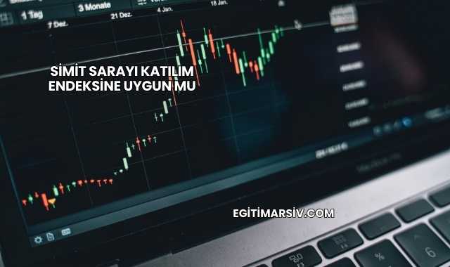 Simit Sarayı Katılım Endeksine Uygun mu