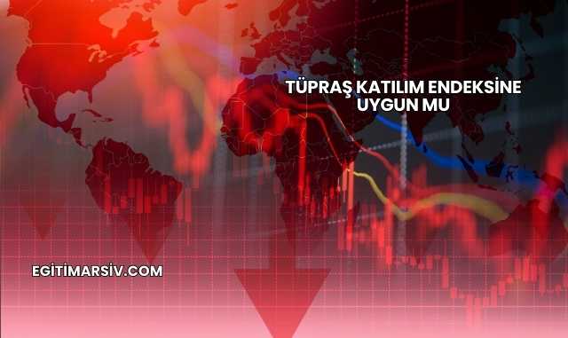 Tüpraş Katılım Endeksine Uygun mu