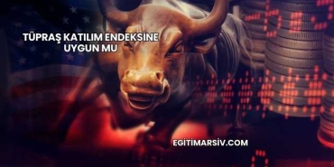 Tüpraş Katılım Endeksine Uygun mu