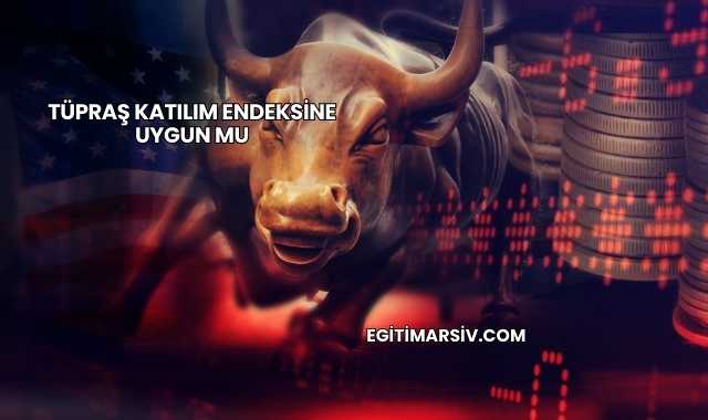 Tüpraş Katılım Endeksine Uygun mu