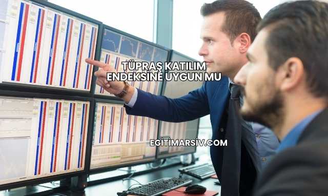 Tüpraş Katılım Endeksine Uygun mu