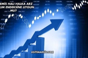 Artemis Halı Halka Arz Katılım Endeksine Uygun mu?