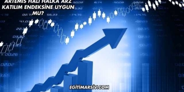 Artemis Halı Halka Arz Katılım Endeksine Uygun mu?