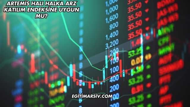 Artemis Halı Halka Arz Katılım Endeksine Uygun mu?