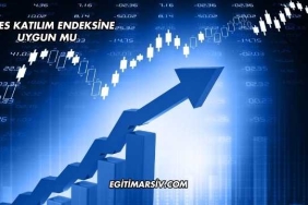 ÇATES Katılım Endeksine Uygun mu?