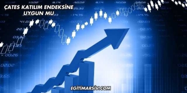 ÇATES Katılım Endeksine Uygun mu?