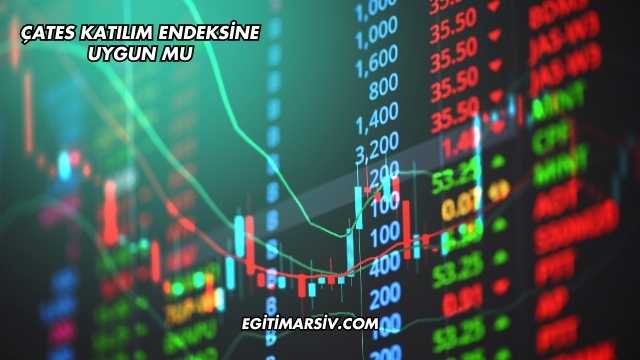 ÇATES Katılım Endeksine Uygun mu?